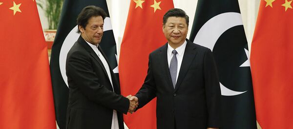 专家：巴基斯坦希望在克什米尔问题上获得中国更多支持 - 俄罗斯卫星通讯社