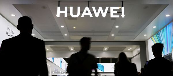 媒体：美国将延长本国公司与华为的合作许可有效期 - 俄罗斯卫星通讯社