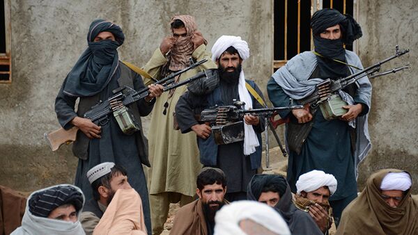 Боевики движения Талибан в провинции Фарах, Афганистан - 俄罗斯卫星通讯社