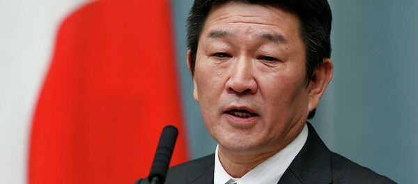 Глава МИД Японии Тошимицу Мотеги - 俄羅斯衛星通訊社