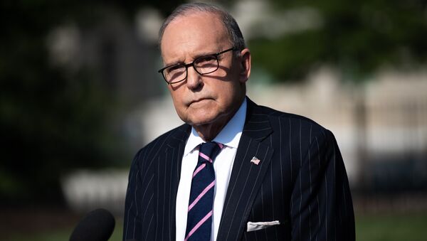 White House economic adviser Larry Kudlow speaks to the media on the driveway of the White House in Washington, DC, August 6, 2019.  - 俄羅斯衛星通訊社