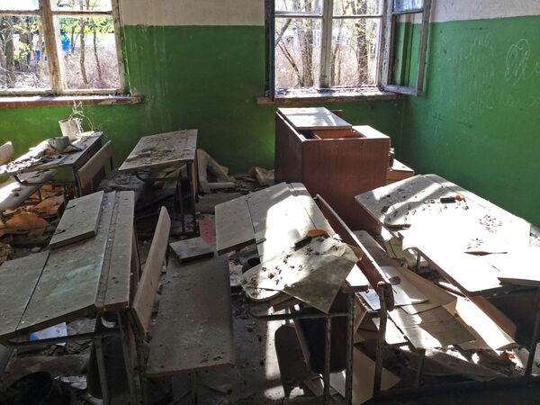波列斯基辐射生态保护区内废弃的学校 - 俄罗斯卫星通讯社