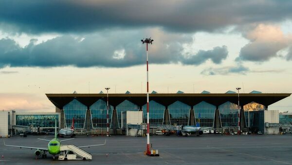 普尔科沃国际机场 - 俄罗斯卫星通讯社