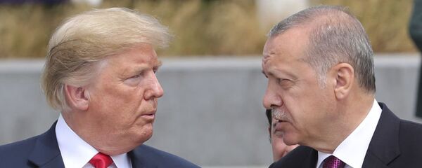 Дональд Трамп и президент Турции Реджеп Тайип Эрдоган - 俄罗斯卫星通讯社