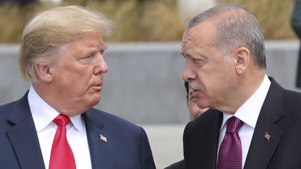 Дональд Трамп и президент Турции Реджеп Тайип Эрдоган - 俄羅斯衛星通訊社
