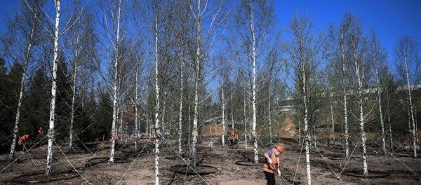 中國鐵建可能將參加莫斯科新區公園的項目 - 俄羅斯衛星通訊社