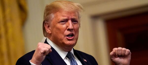 Президент США Дональд Трамп - 俄罗斯卫星通讯社