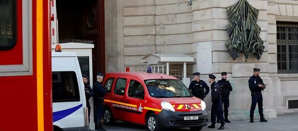 巴黎警方 - 俄羅斯衛星通訊社