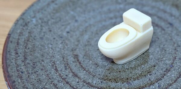 Toilette Chocolat - 俄羅斯衛星通訊社