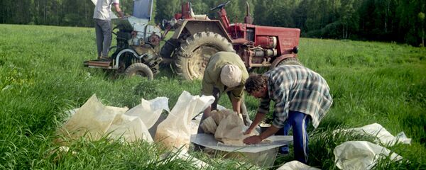 Подготовка удобрений для вбрасывания в почву - 俄罗斯卫星通讯社