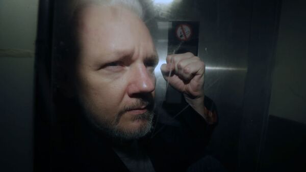 Основатель WikiLeaks Джулиан Ассанж - 俄羅斯衛星通訊社