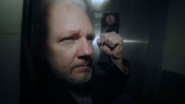 Основатель WikiLeaks Джулиан Ассанж - 俄罗斯卫星通讯社