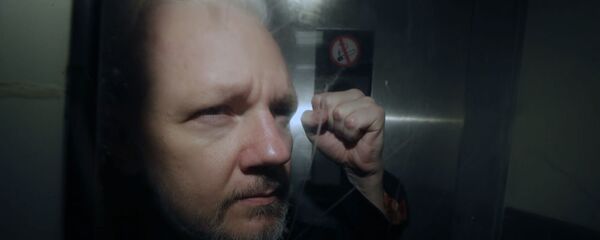 Основатель WikiLeaks Джулиан Ассанж - 俄罗斯卫星通讯社