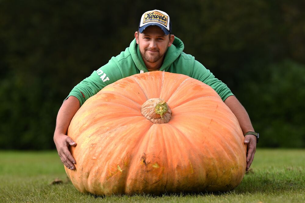 大小很重要:让你惊掉下巴的巨型蔬菜