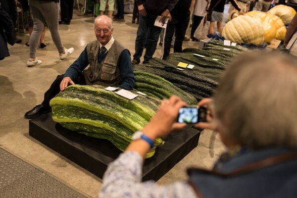 大小很重要：让你惊掉下巴的巨型蔬菜 - 俄罗斯卫星通讯社