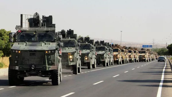 Колонна турецкой военной техники на турецко-сирийской границе. 9 октября 2019 - 俄羅斯衛星通訊社