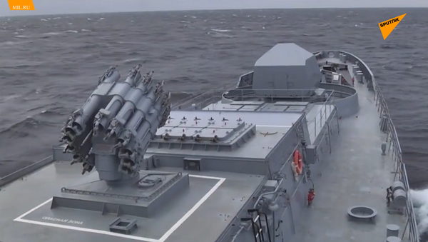 俄潜艇在黑海发射口径导弹 - 俄罗斯卫星通讯社