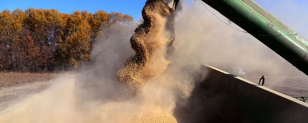 近年中国大豆进口占粮食进口总量的80%以上 - 俄罗斯卫星通讯社