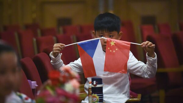 专家：中国将无法只限于同捷克中央政府保持友好关系 - 俄罗斯卫星通讯社