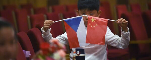 专家：中国将无法只限于同捷克中央政府保持友好关系 - 俄罗斯卫星通讯社