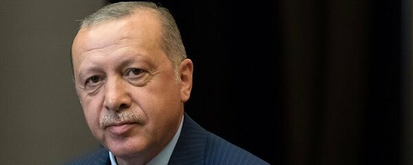 土耳其總統埃爾多安 - 俄羅斯衛星通訊社