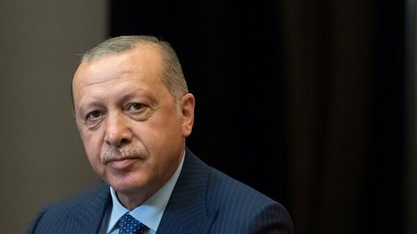 土耳其总统埃尔多安 - 俄罗斯卫星通讯社