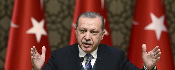 Президент Турции Реджеп Тайип Эрдоган  - 俄羅斯衛星通訊社