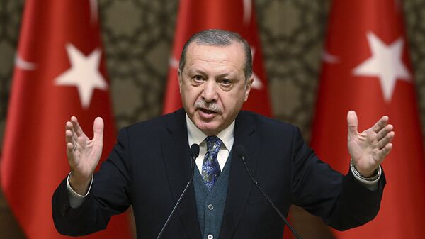 Президент Турции Реджеп Тайип Эрдоган  - 俄罗斯卫星通讯社