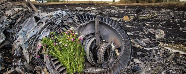 MH17航班坠机案的被告想出庭 - 俄罗斯卫星通讯社