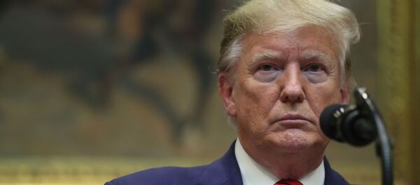 声明：美国会议员要防止特朗普在自己的酒店举行G7峰会 - 俄罗斯卫星通讯社