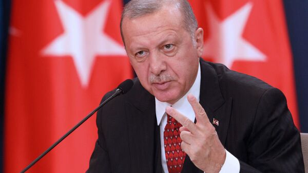 土耳其總統：在敘行動將持續至徹底清除恐怖主義威脅為止 - 俄羅斯衛星通訊社