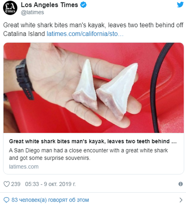 美国大白鲨袭击游客皮艇 掉落两颗牙齿  - 俄罗斯卫星通讯社