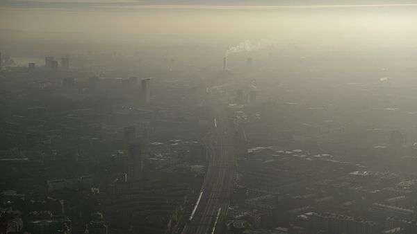 政府正努力解决空气污染问题 - 俄罗斯卫星通讯社