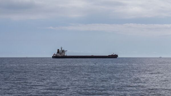 此前在红海遭到袭击的伊朗油轮已经进入伊朗领海 - 俄罗斯卫星通讯社