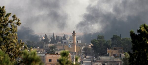 土耳其国防部：和平之泉行动期间已击毙415名武装分子 - 俄罗斯卫星通讯社