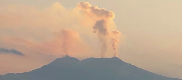 西西里埃特纳火山喷出高达4.5公里的烟灰柱 - 俄罗斯卫星通讯社