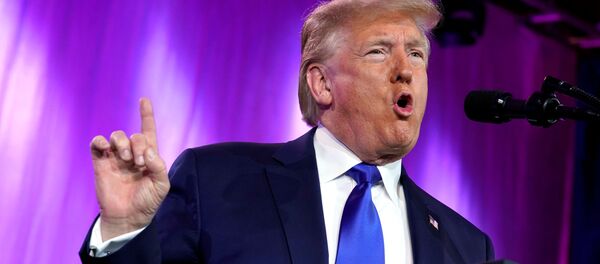 特朗普评论佩洛西在国会会面时的表现 特朗普评论佩洛西在国会会面时的表现 - 俄罗斯卫星通讯社