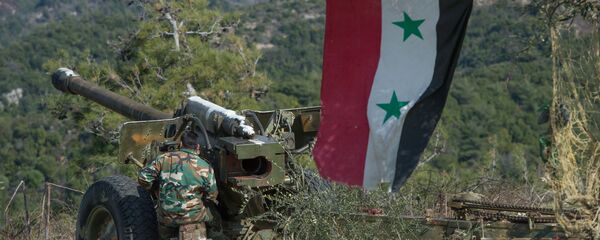 Артиллеристы сирийской армии на позициях в провинции Идлиб на северо-западе Сирии Артиллеристы сирийской армии на позициях в провинции Идлиб на северо-западе Сирии - 俄罗斯卫星通讯社