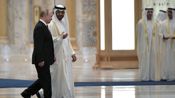 阿联酋总统或向普京建议自己做俄罗斯与西方冲突的调解人  - 俄罗斯卫星通讯社