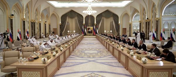 普京：俄羅斯與阿聯酋簽訂價值約14億美元的新合同 - 俄羅斯衛星通訊社