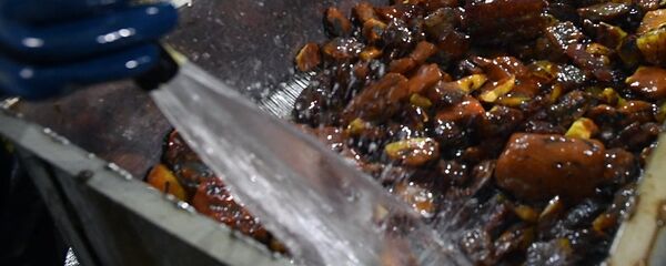 俄羅斯企業中斷向中國出口琥珀的合同 - 俄羅斯衛星通訊社