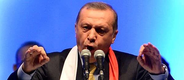 土耳其总统埃尔多安 - 俄罗斯卫星通讯社