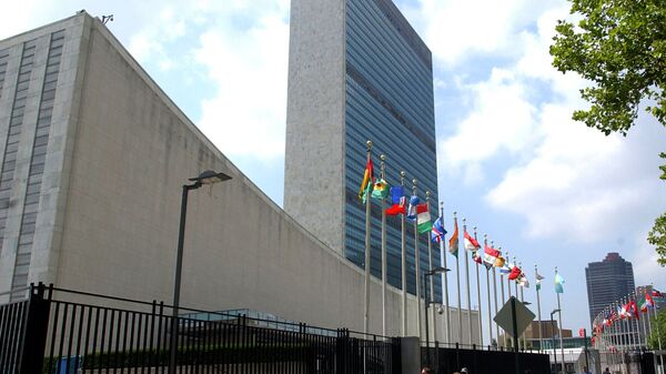俄驻中非大使：联合国针对中非的武器禁运对建立和平生活造成不良影响 - 俄罗斯卫星通讯社