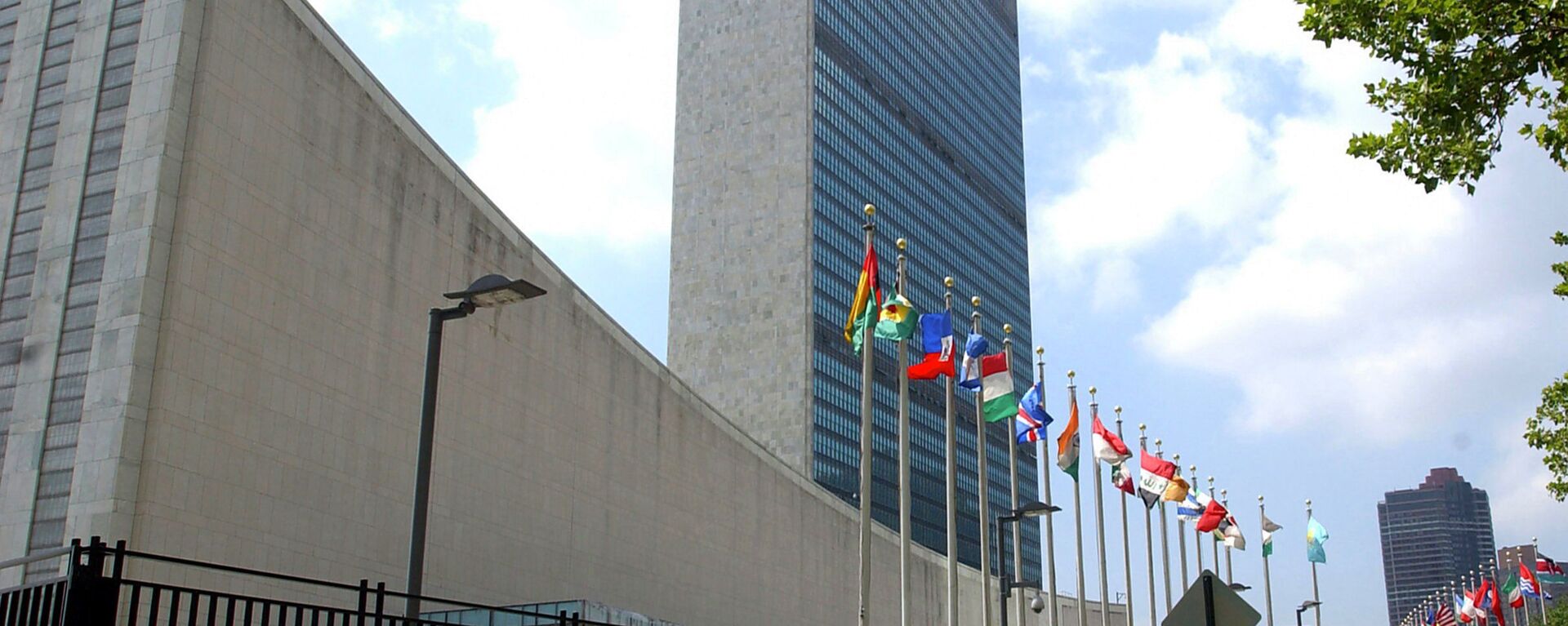 俄駐中非大使：聯合國針對中非的武器禁運對建立和平生活造成不良影響 - 俄羅斯衛星通訊社, 1920, 20.01.2022