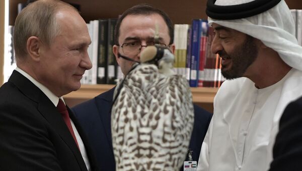 普京贈送沙特和阿聯酋的兩只獵鷹為“鑽石級” - 俄羅斯衛星通訊社