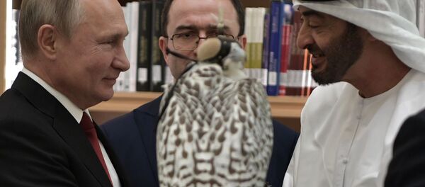 普京贈送沙特和阿聯酋的兩只獵鷹為“鑽石級” - 俄羅斯衛星通訊社