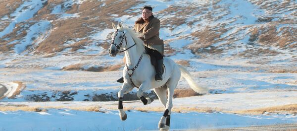 金正恩騎白馬登上白頭山 - 俄羅斯衛星通訊社
