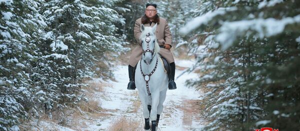 见解：金正恩骑白马登白头山是要展示他准备解决重要内政问题 - 俄罗斯卫星通讯社