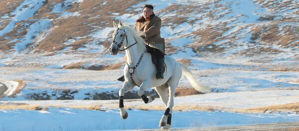 偏爱非常规交通方式的国家元首们。 偏爱非常规交通方式的国家元首们。 - 俄罗斯卫星通讯社