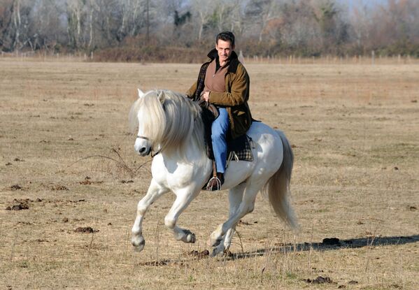 法国总统尼古拉·萨科奇骑马纵横在法国南部圣玛丽德拉梅的法官农场（Mas du Juge）牧场上 - 俄罗斯卫星通讯社